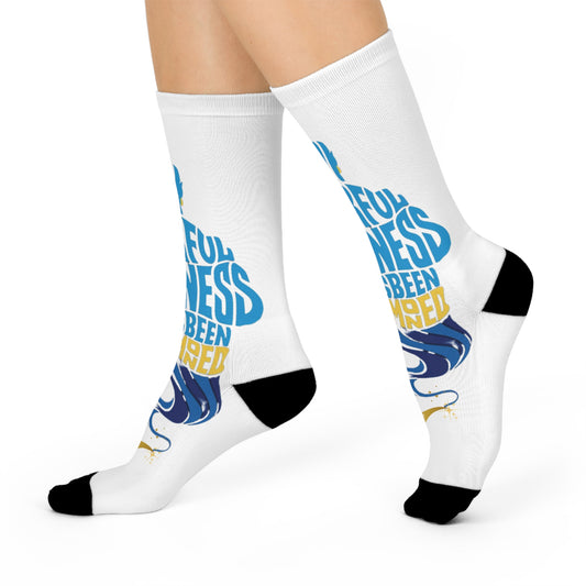 Inspirational Socks - Genius Aladdin Design